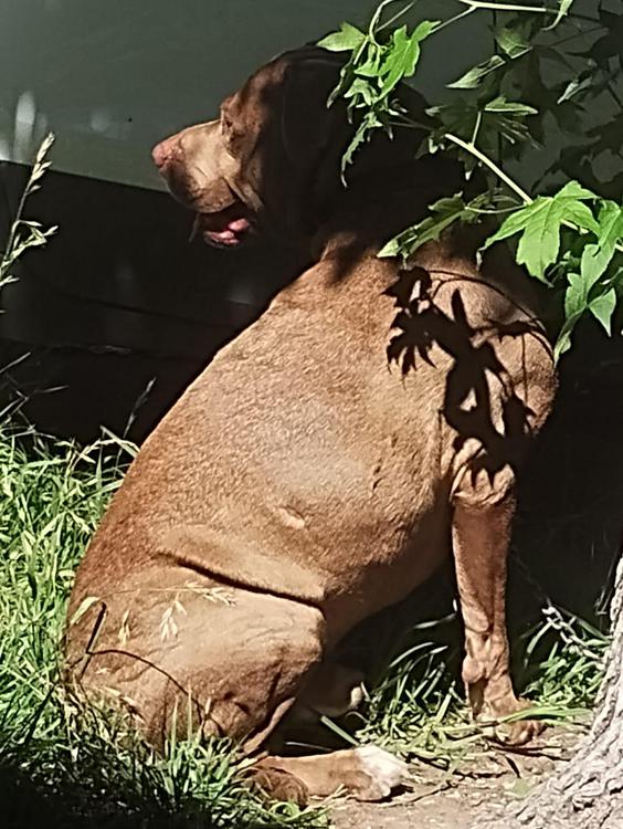 50327fb7-1da8-47ce-b3ba-667d2f0f7604