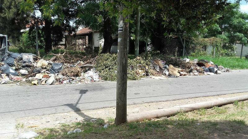BASURAL 125 ENTRE 52 Y 53