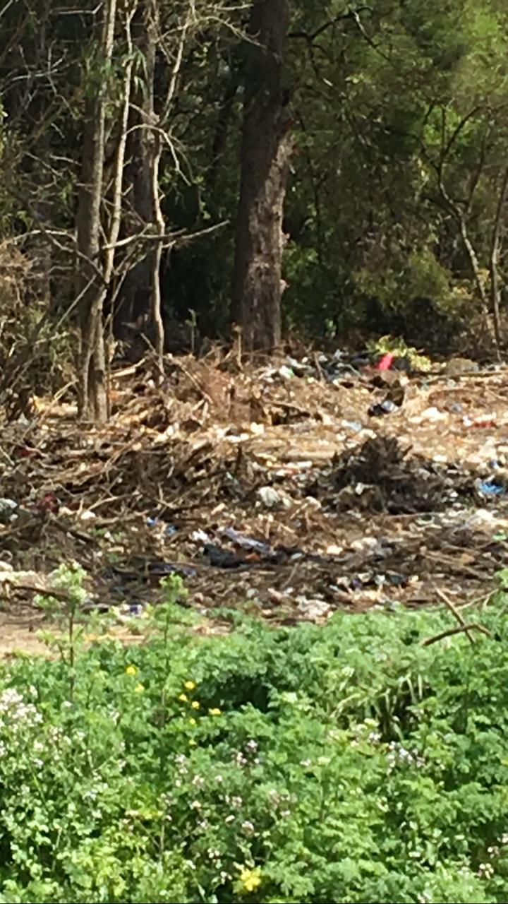 WhatsApp Image 2020-10-11 at 12.09.49 PM