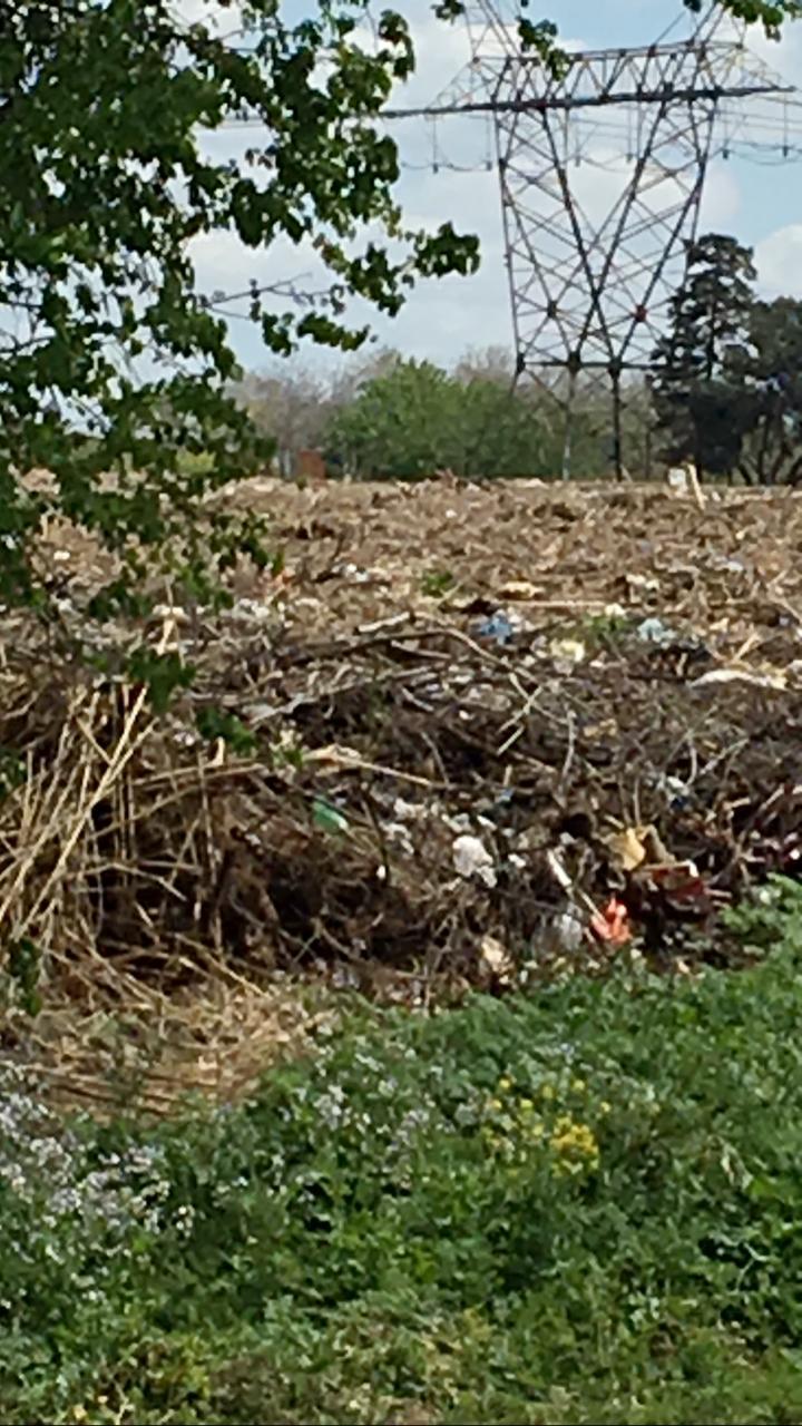 WhatsApp Image 2020-10-11 at 12.09.49 PM (1)