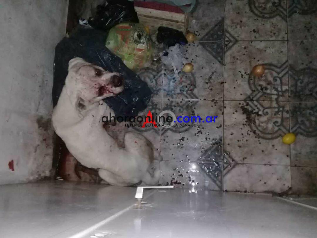 WhatsApp Image 2020-11-04 at 9.52.26 PM (1)