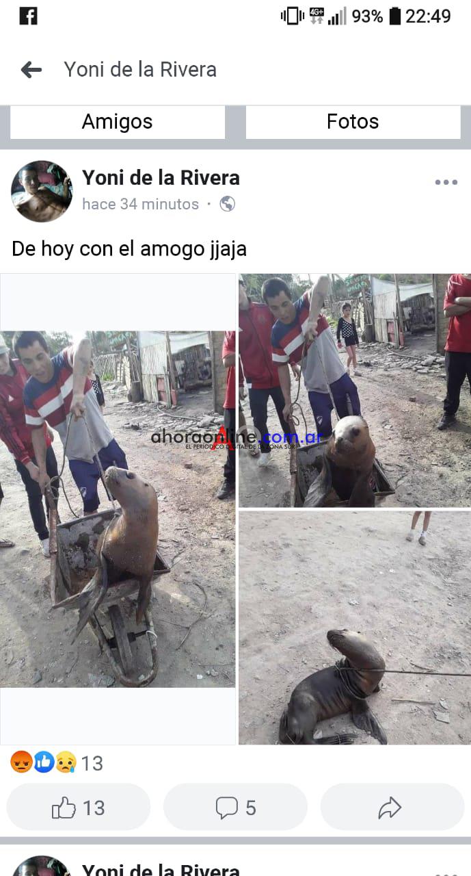 WhatsApp Image 2019-09-08 at 11.13.02 PM