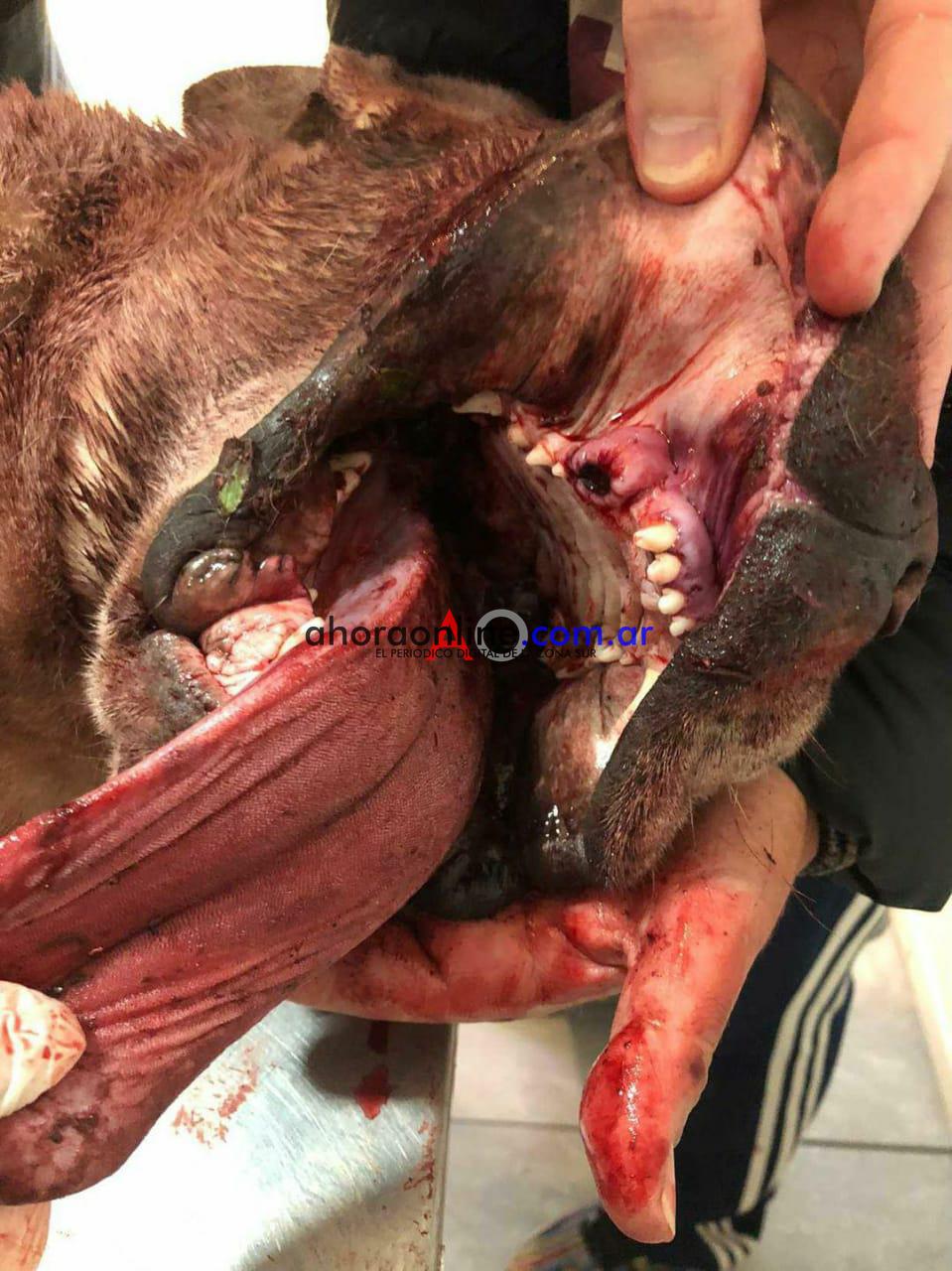 WhatsApp Image 2020-11-04 at 9.52.26 PM (4)