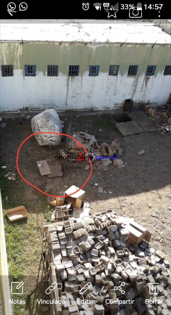 WhatsApp Image 2019-07-09 at 9.19.51 PM (1)