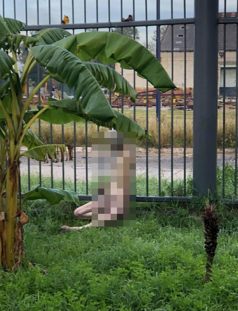 Encontraron a un hombre desnudo, sin vida y colgado de una reja en Quilmes