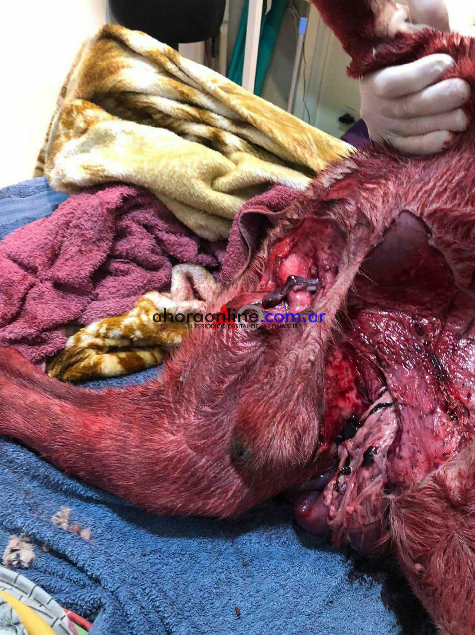 WhatsApp Image 2020-11-04 at 9.52.26 PM (5)