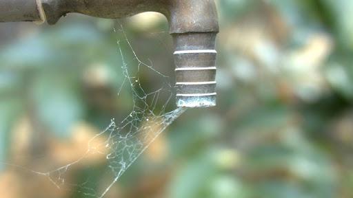 agua