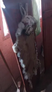 1c4c962c-425d-440a-87a3-b40e62d27180