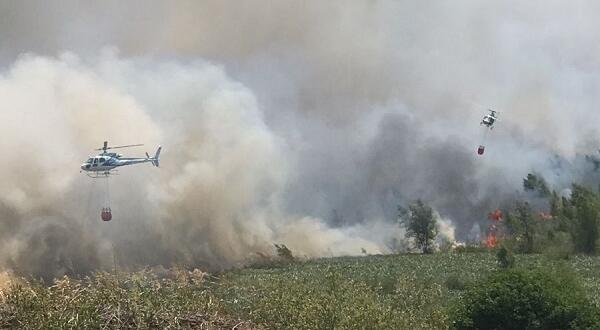 zarate-incendio-atucha-7mar2023-600x330