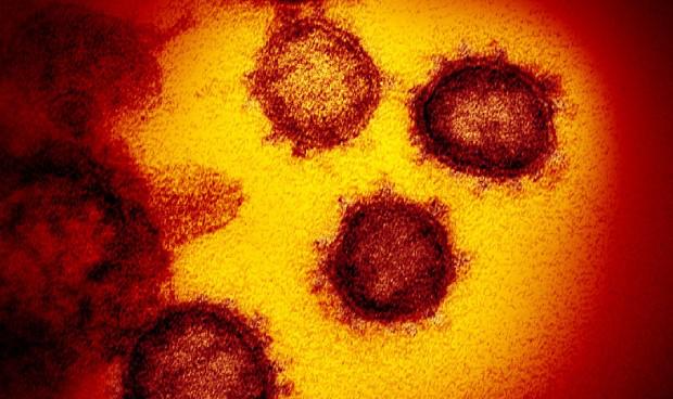 covid-reinfeccion-probable-espana-cepa-manaos-2051