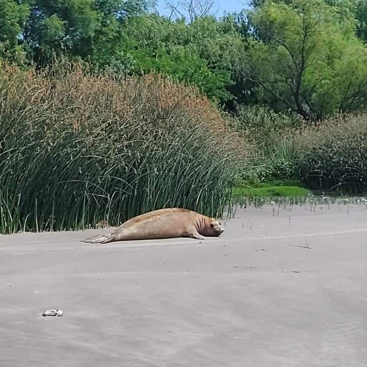 WhatsApp Image 2023-12-01 at 09.10.14