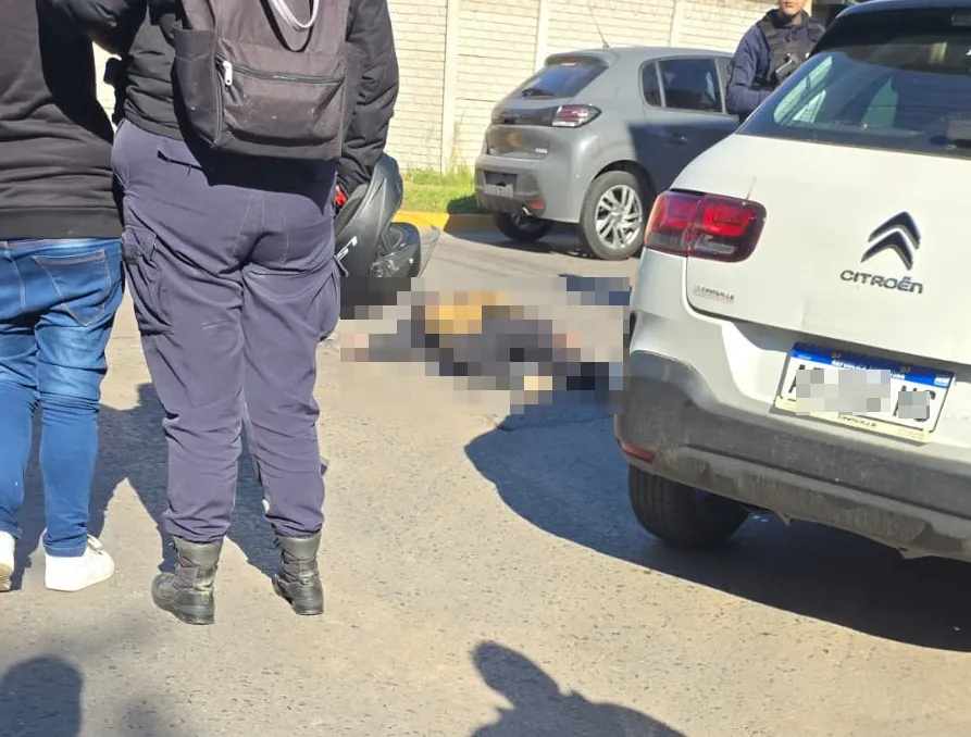 ba0e2646-075c-43a6-9a92-428ea56672b5