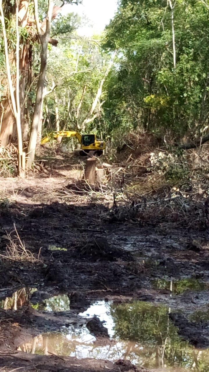 b89bb691-0edd-431b-a514-ad612252831a