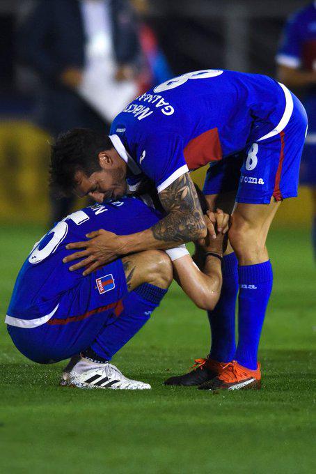 TIGRE