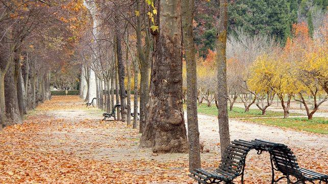 INVIERNO