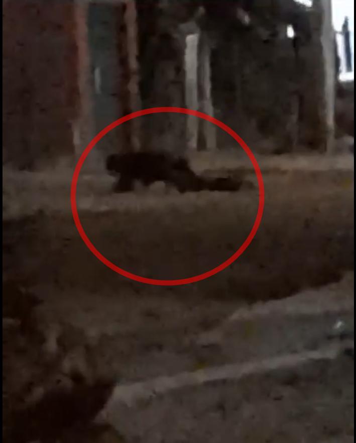 WhatsApp Image 2023-10-11 at 08.36.51