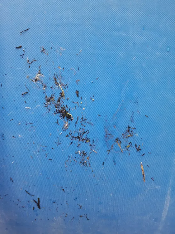 b80351b7-69f5-4c36-a58f-69722fced686