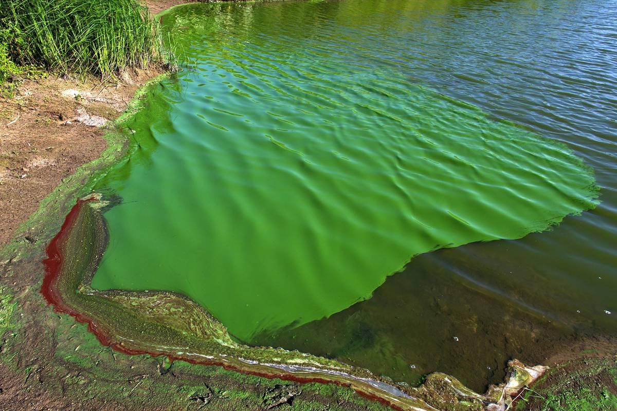 aaa