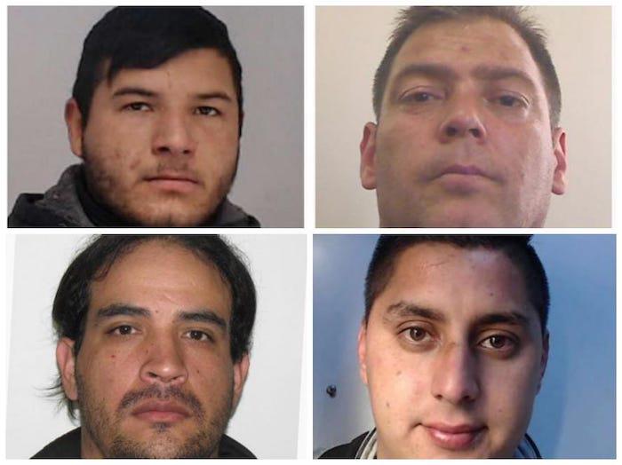 los cuatro
