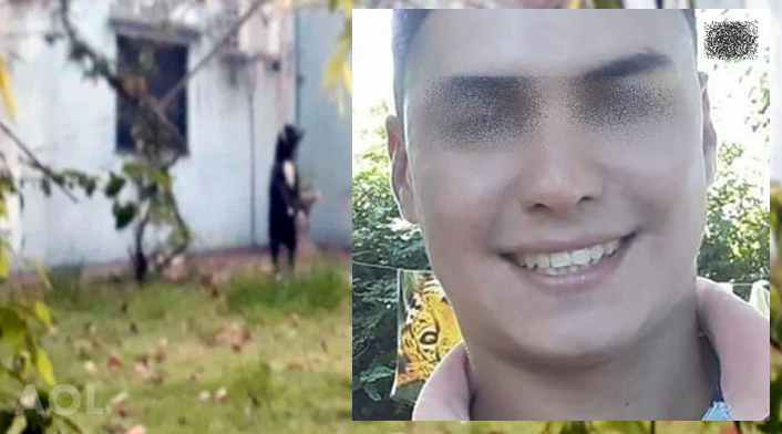 PERRO