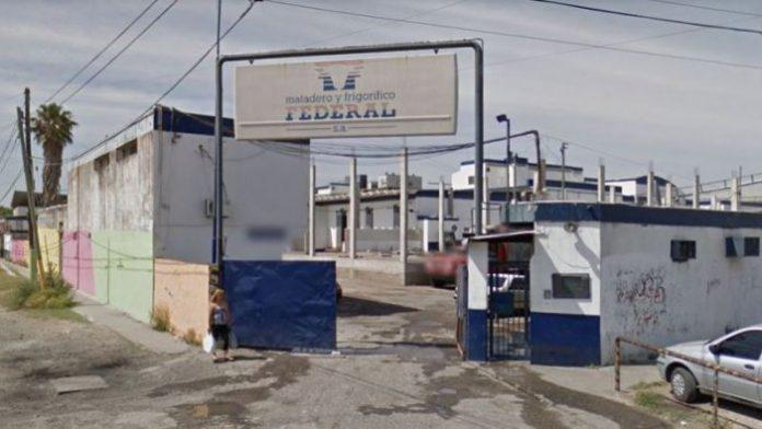 FEDERAL