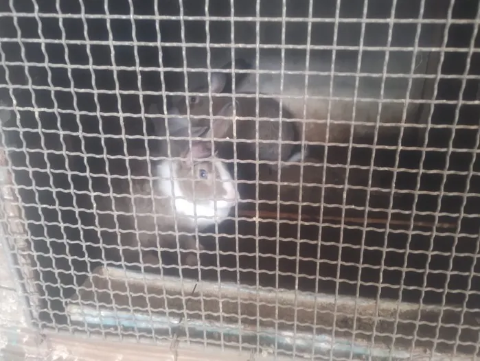 81853ac5-1858-47b1-8f89-9a50955a8807