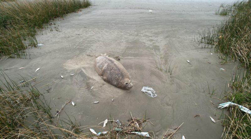 WhatsApp-Image-2024-07-22-at-16.59.58-800x445-1