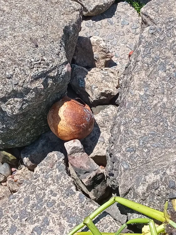 WhatsApp Image 2025-02-07 at 10.24.03 AM