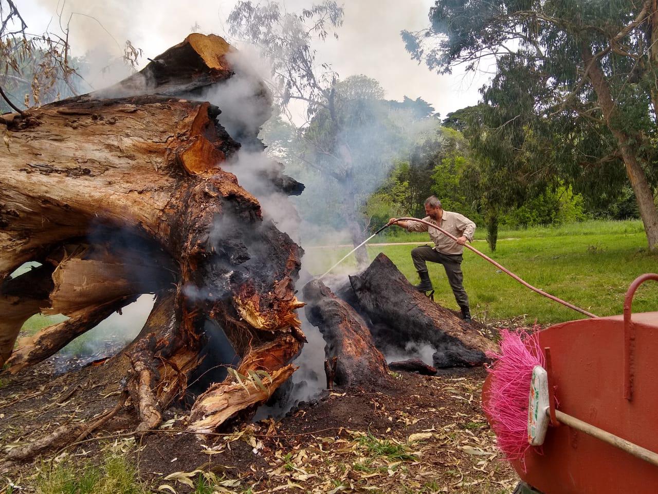 incendio