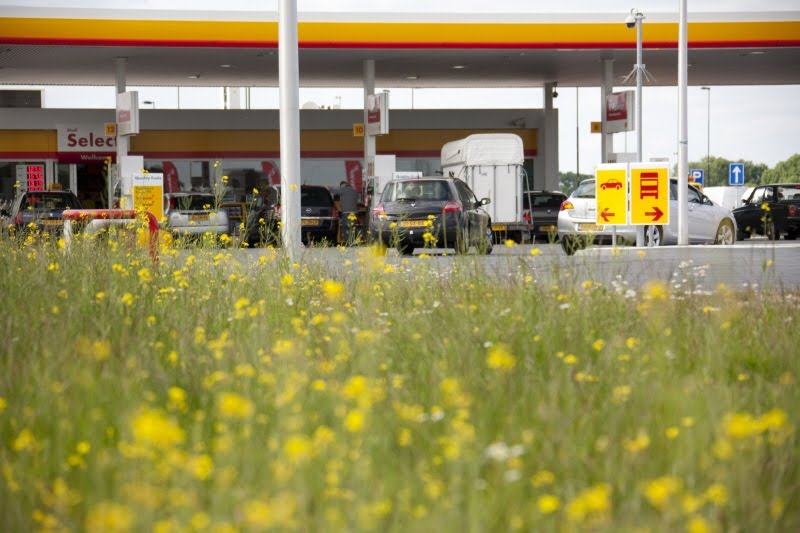 foto estación de servicio