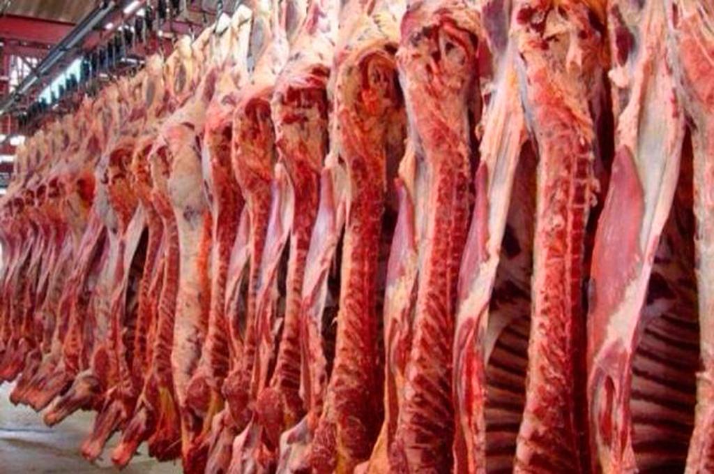 CARNE RED