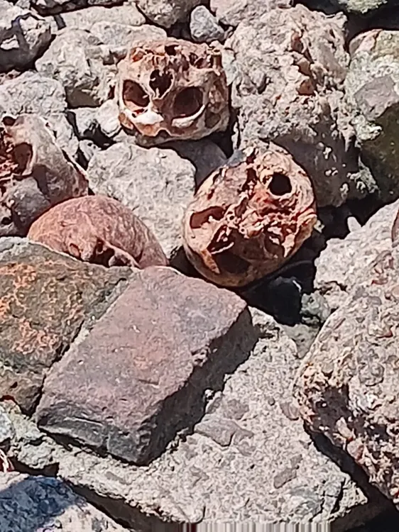 cc0cb63b-0501-4eea-8a30-c852f7905264