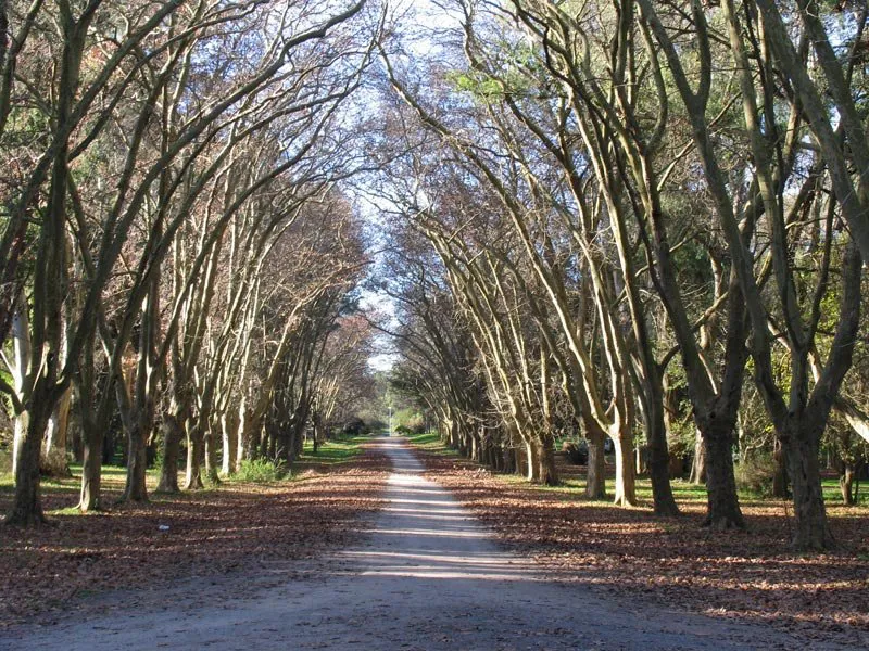 Parque-Pereyra-Iraola