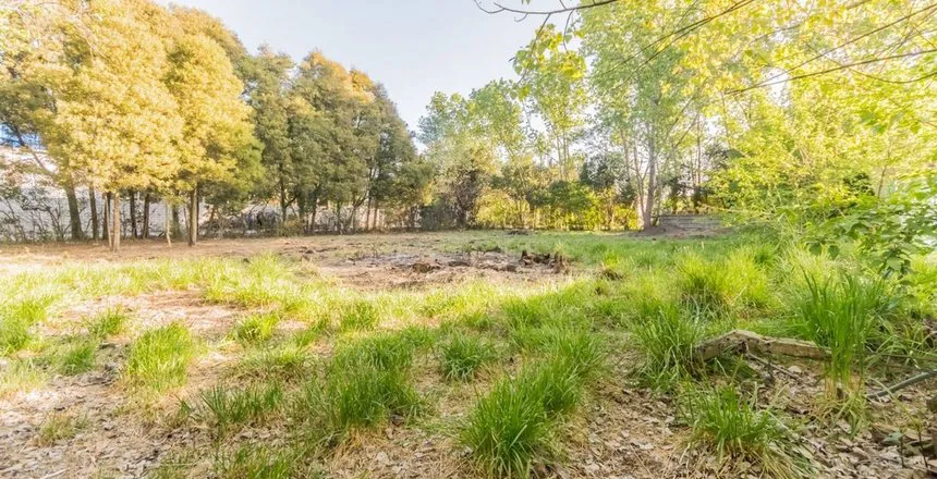 039e597d-250e-4d44-96d7-ed97b3bd1c12