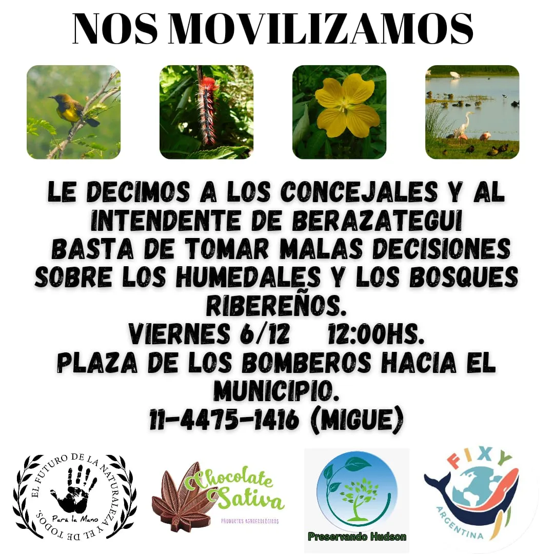 WhatsApp Image 2024-12-05 at 07.50.19