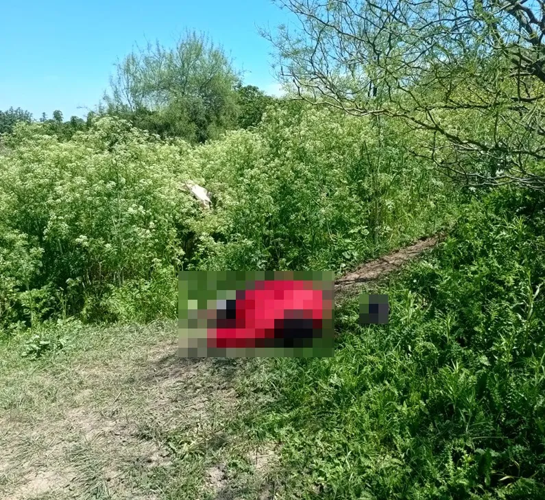 464492108_997135755783249_7522688559428335900_n