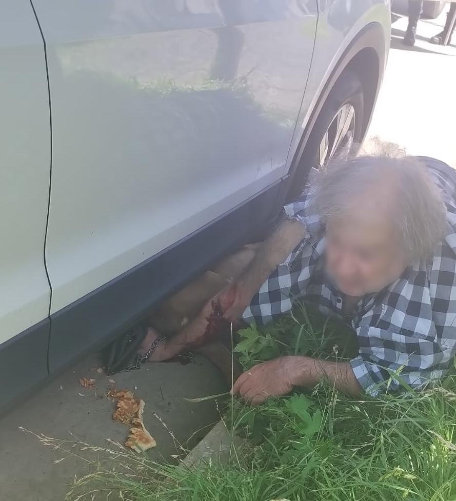 e38c2671-0143-48b7-8cc1-765cf964be78