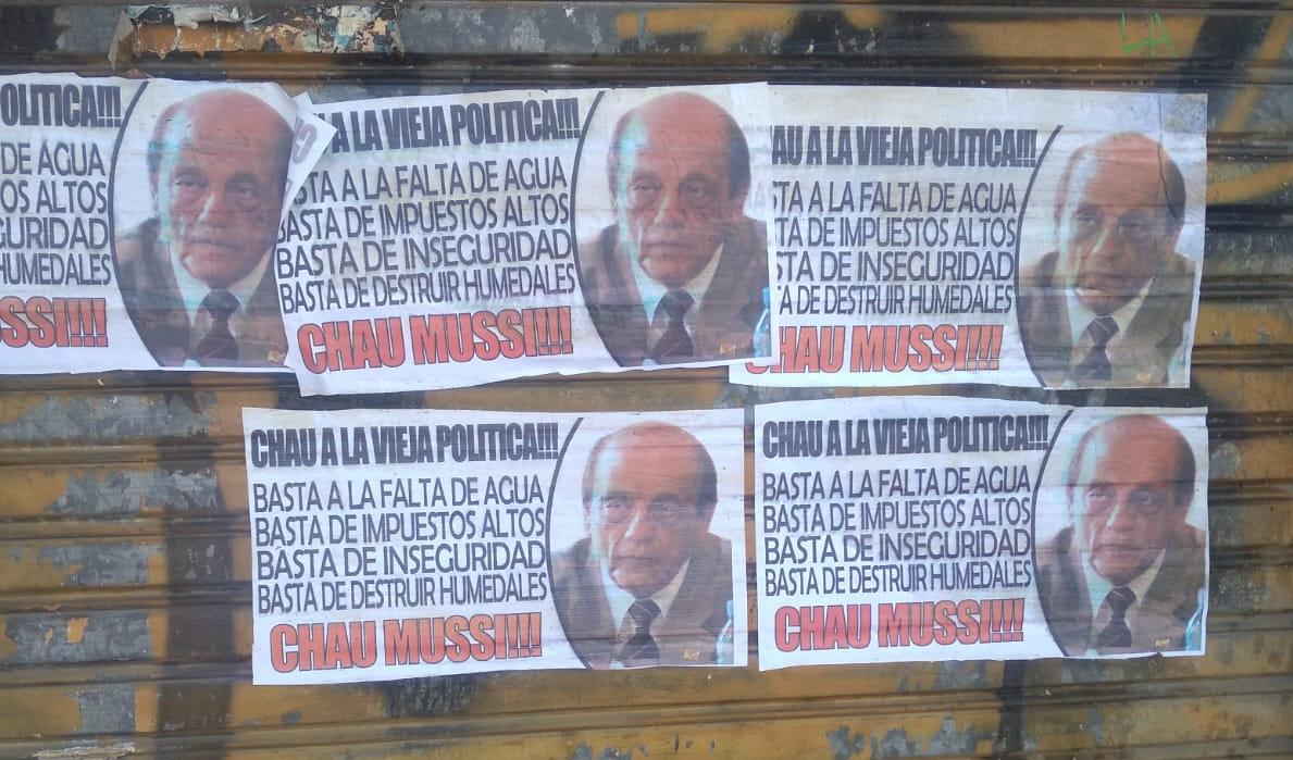 CHAU MUSSI 1
