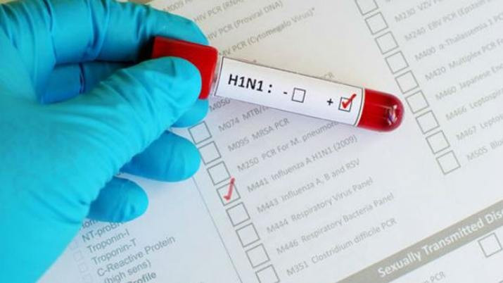 h1n1