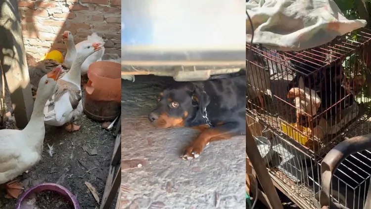 Portada-2024-12-14T112533.733-800x445