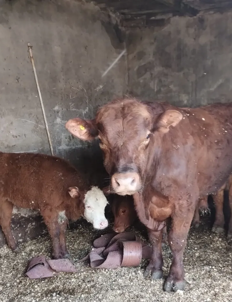 8434bd2e-e754-41e8-b1e7-e802fb52b77c