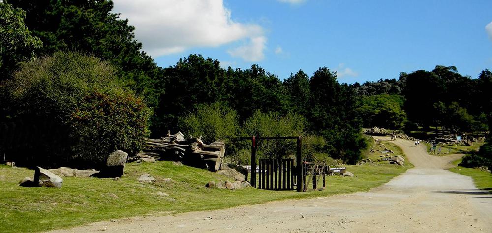 tandil