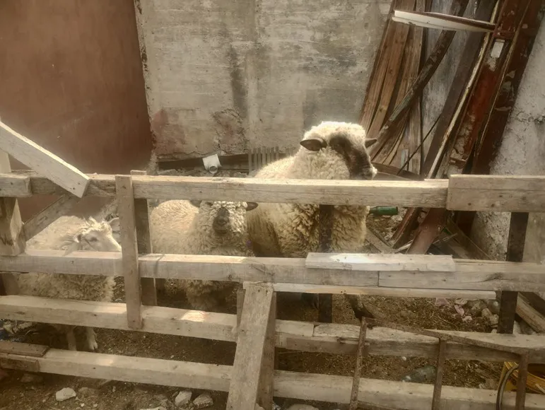 339576c0-9fce-4179-a3ef-f0fc8a3b0cac