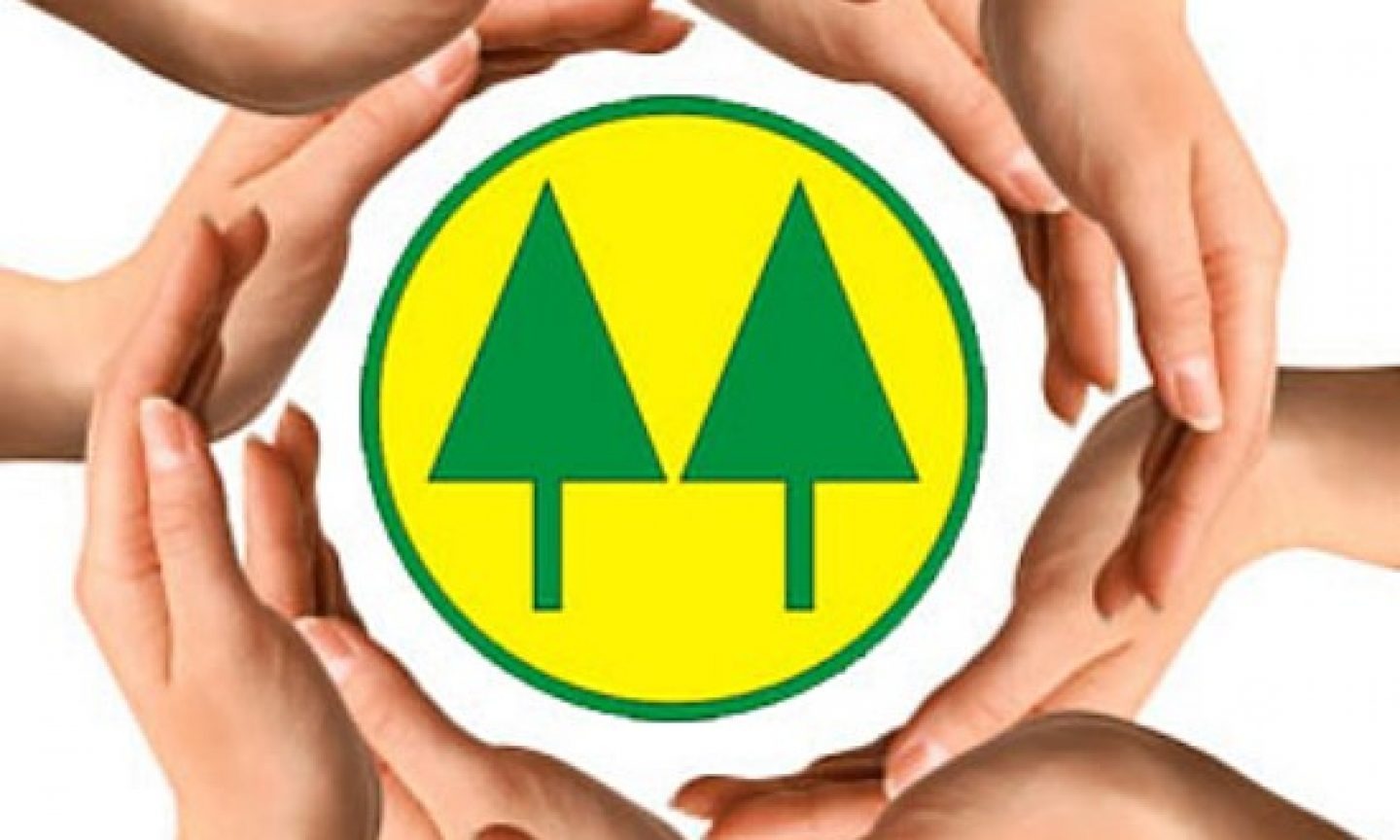 COOPERATIVAS