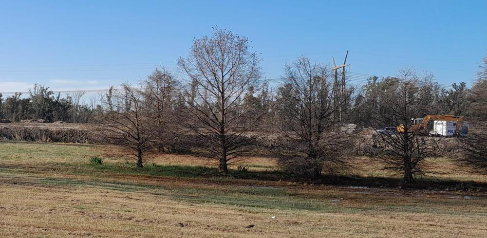 6f0d45e0-4178-4a59-a508-e3a2ac657af8