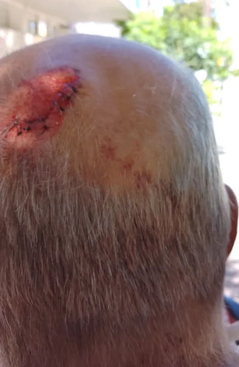 480936424_10232652067838275_7334779293735446705_n