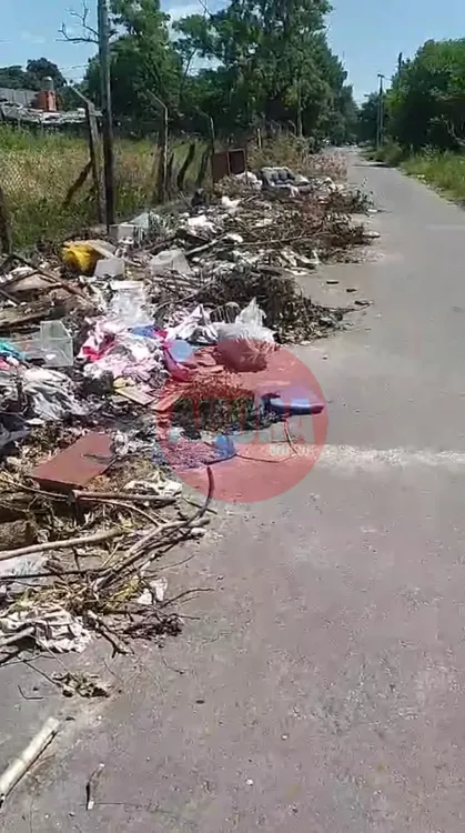 Screenshot_20241126_171517_WhatsAppBusiness