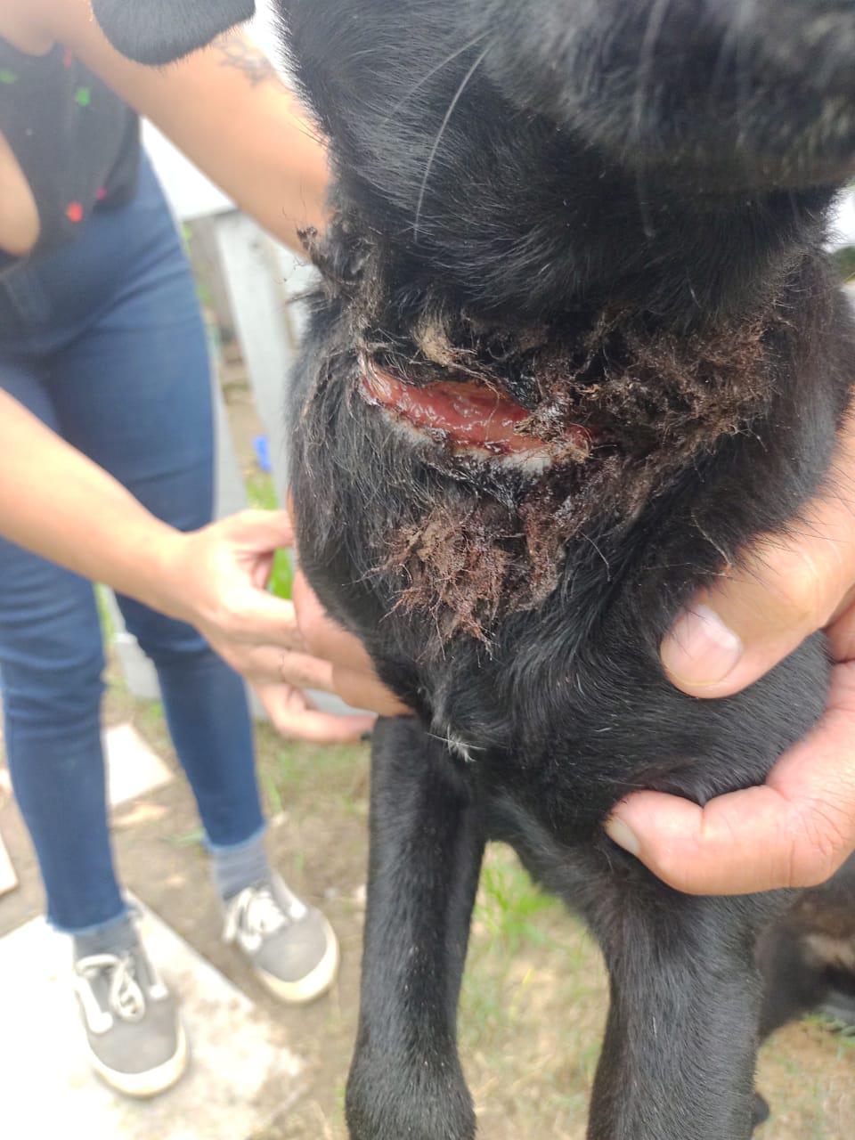 0fa60c6e-053d-46a1-83aa-f3cfd7df925a