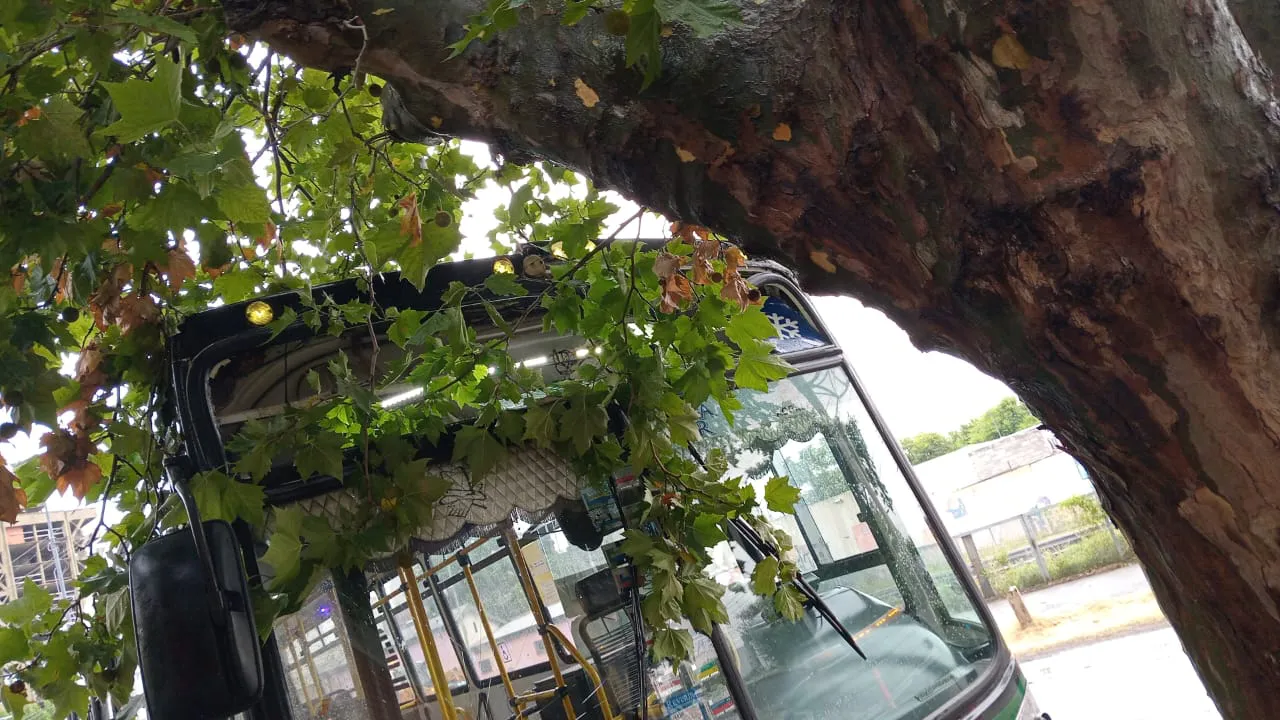 4abd6c42-5ef8-4d6c-93e3-036c20507afe