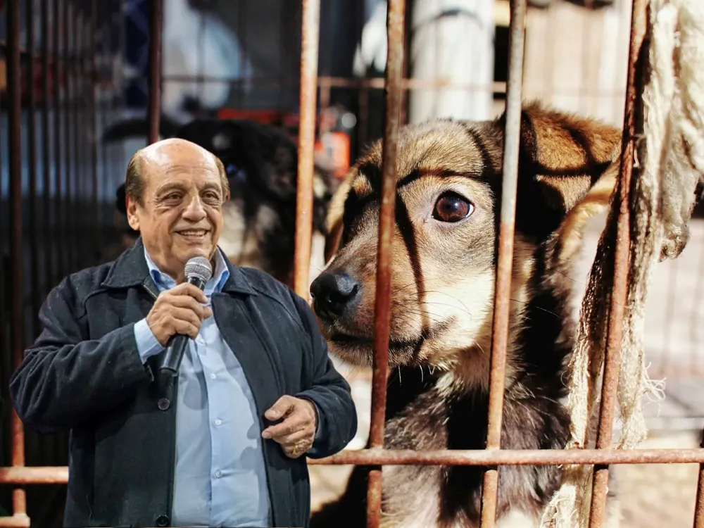 lzNIYKZgB_2000x1500__1